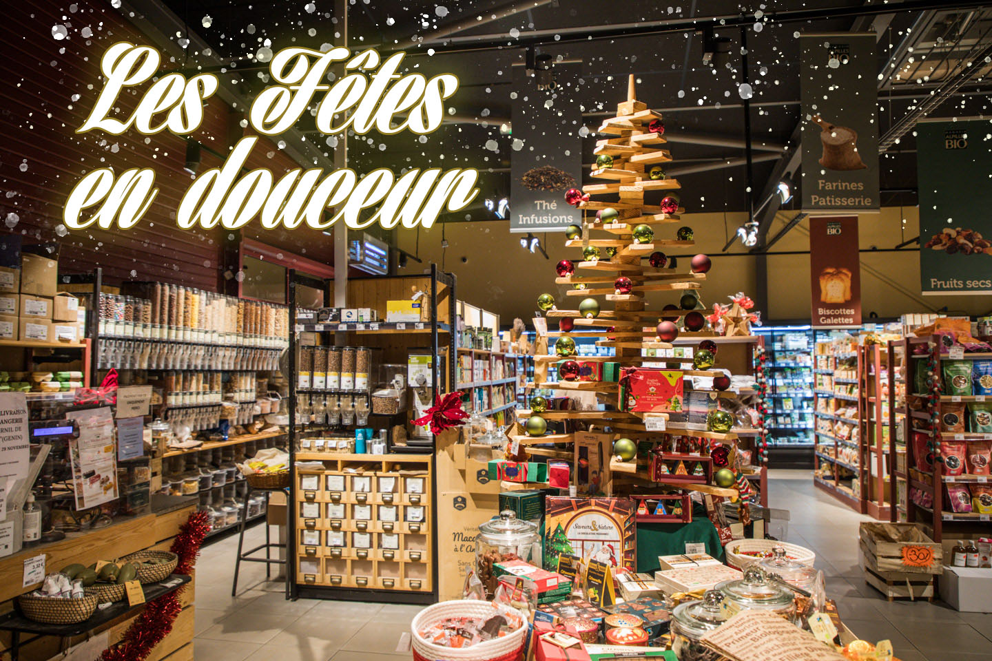 Alpilles Bio-4Q5A0718-©Joel Lombard-