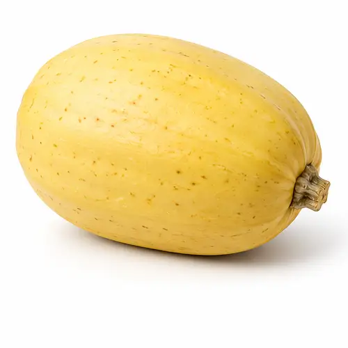 Courge spaghetti ovale à la peau jaune pâle