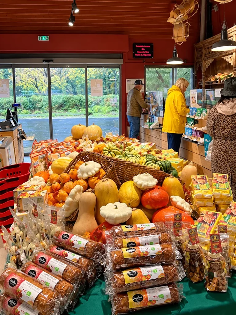 Présentoir de courges, potimarrons et pâtissons dans le magasin Alpilles Bio à Saint-Rémy-de-Provence.