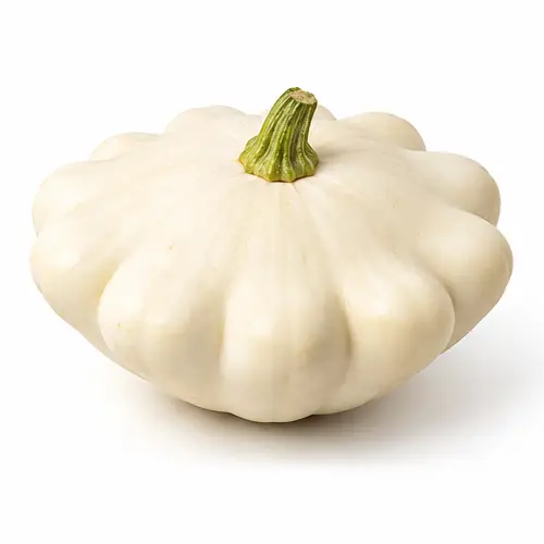 Pâtisson blanc à la forme aplatie et aux bords festonnés