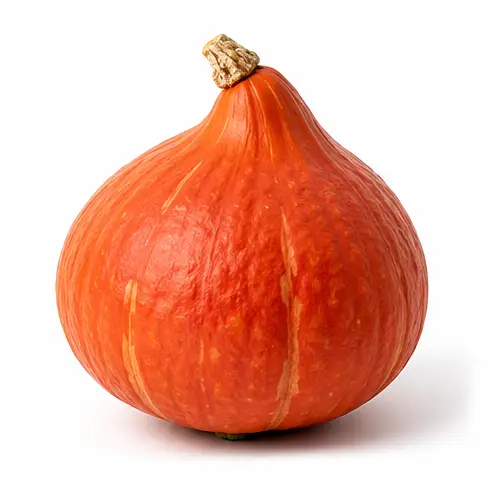 Potimarron à la peau rouge orangé, en forme de toupie